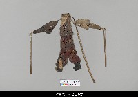 藏品(中國湖北皮影戲偶身)的圖片